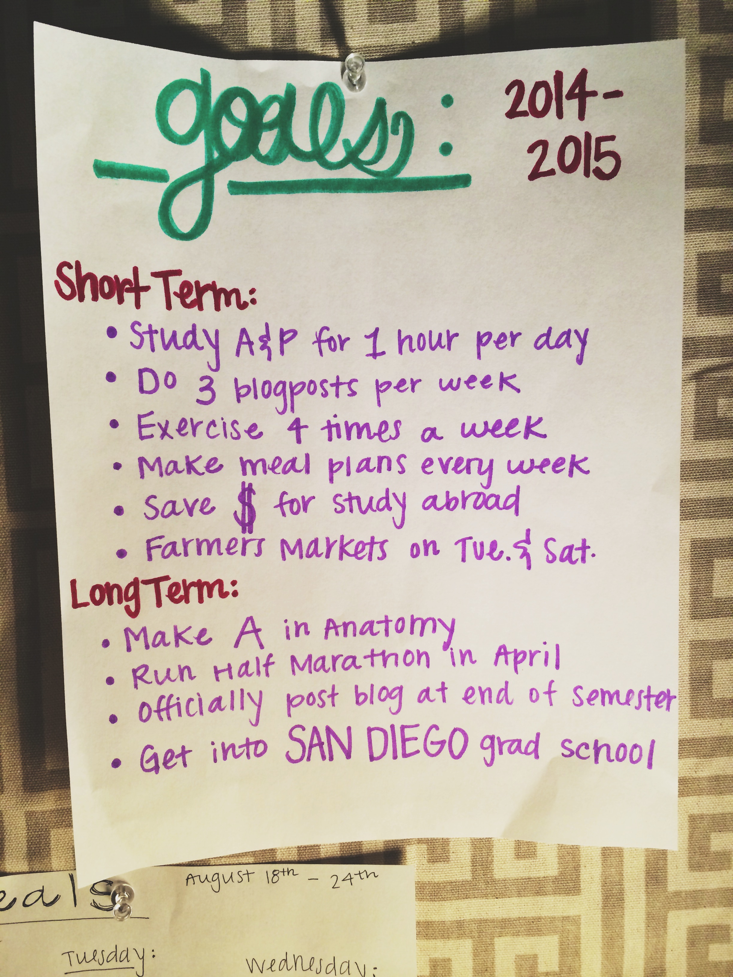 GoGetters are Goal Setters Peachy Lean
