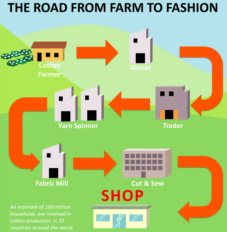 Tag! You're it. Peacock Plume