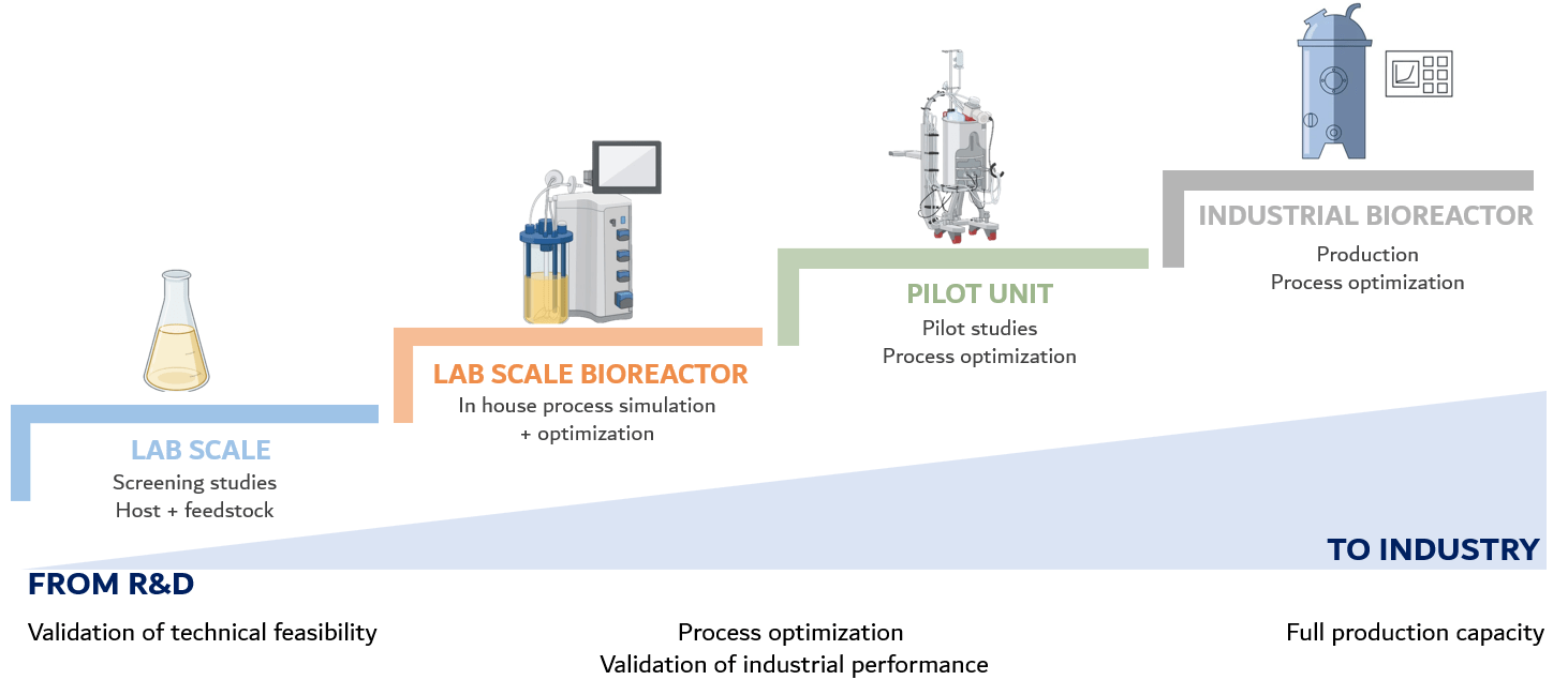 Precision fermentation A Guide for Endless Opportunities to Reshape Traditional Foods Using