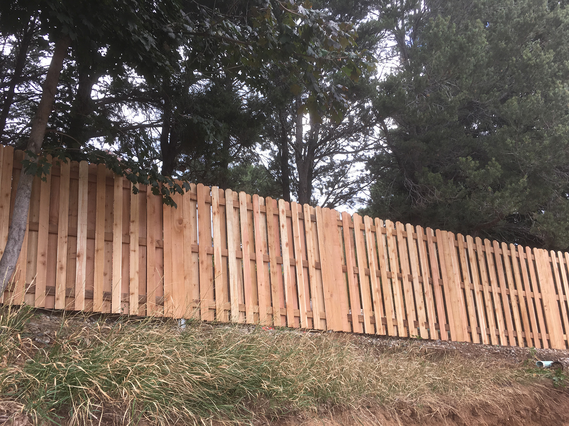 Cedar Fencing Peak Fencing