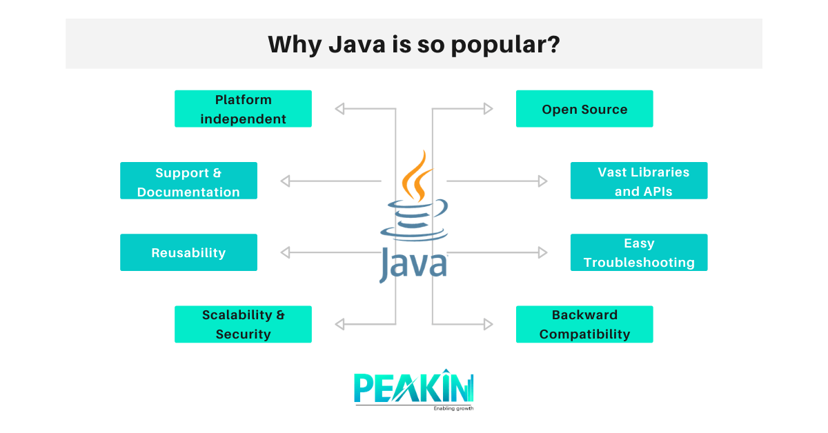 JAVA Ruling The Tech Industry For About Two And A Half Decades! Peakin(03)