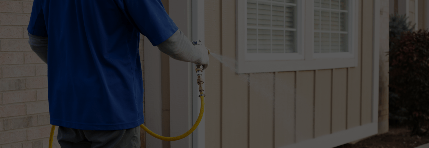 Pest Control Peak Pest Pro