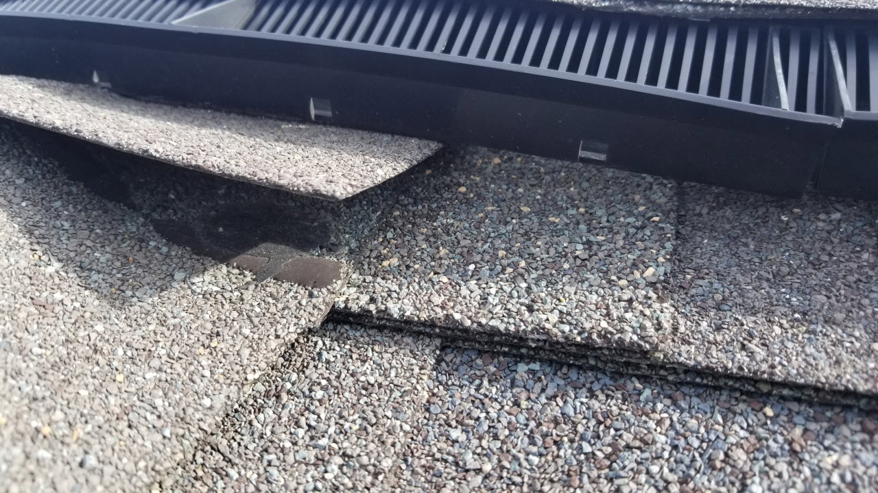 Peak Protector Guard Roof Ridge Vent Animal Guard Protection 1 US