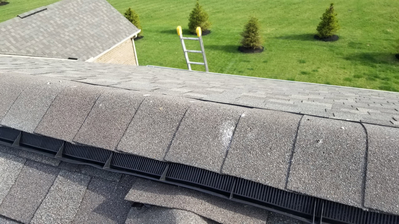 Peak Protector Guard Roof Ridge Vent Animal Guard Protection 1 US