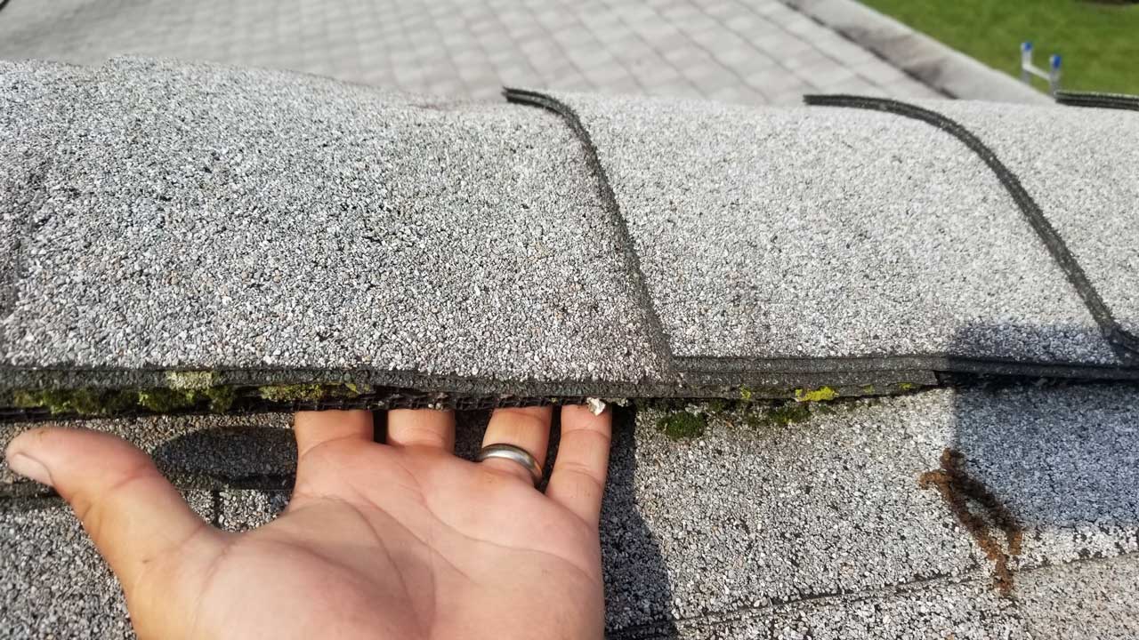 Peak Protector Guard Roof Ridge Vent Animal Guard Protection 1 US