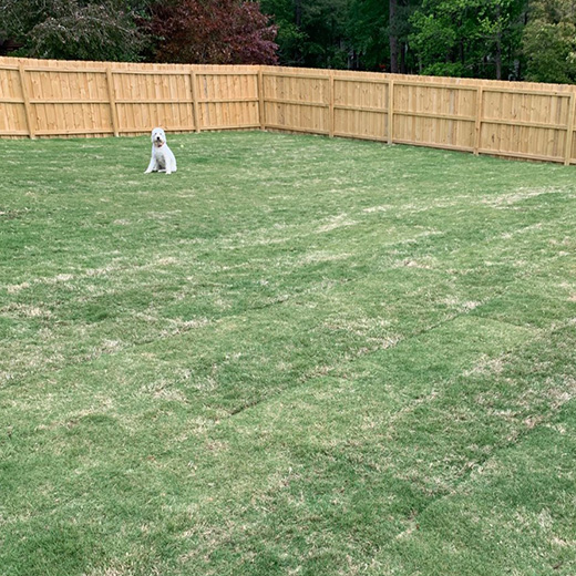 Sod Near Me Southern Wake County