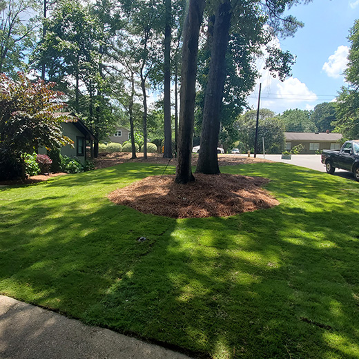 Sod Near Me Southern Wake County