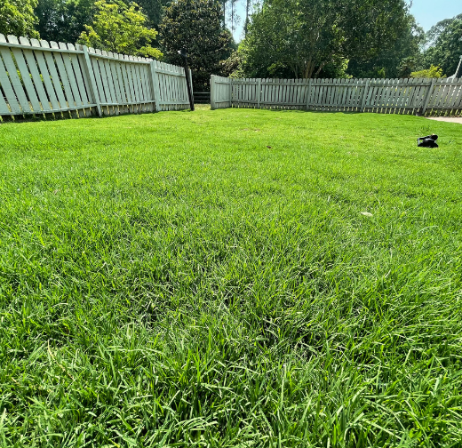 Sod Near Me Southern Wake County
