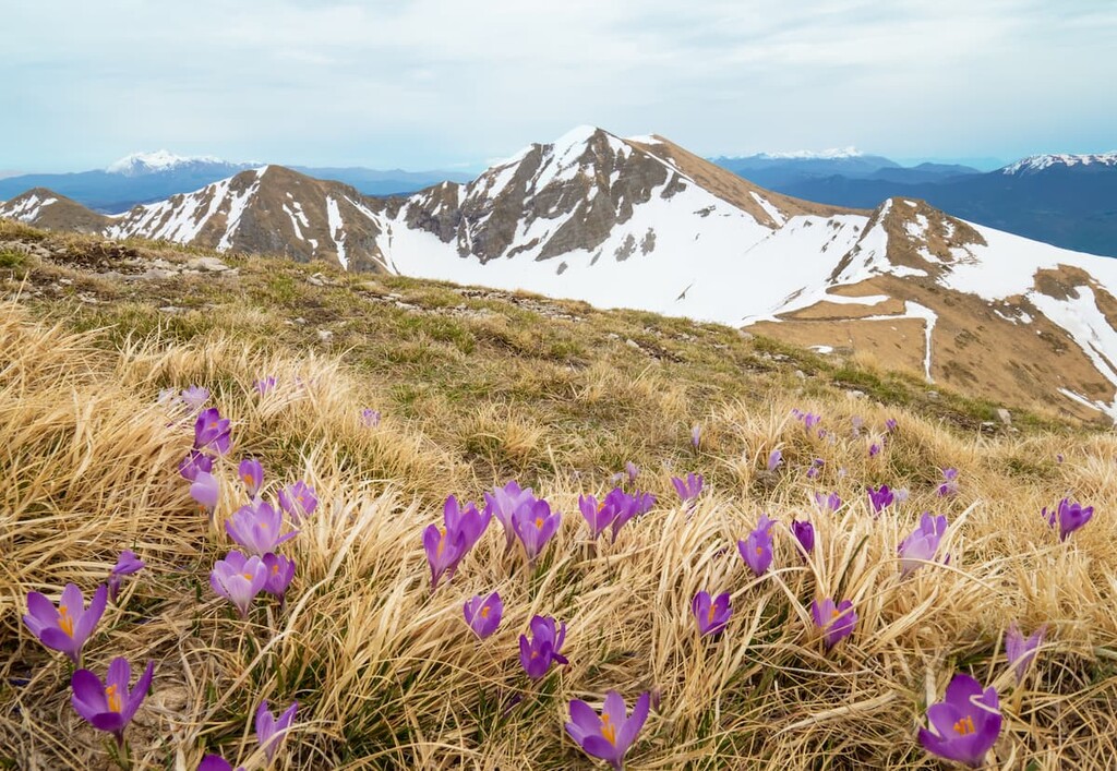 Lazio Mountains