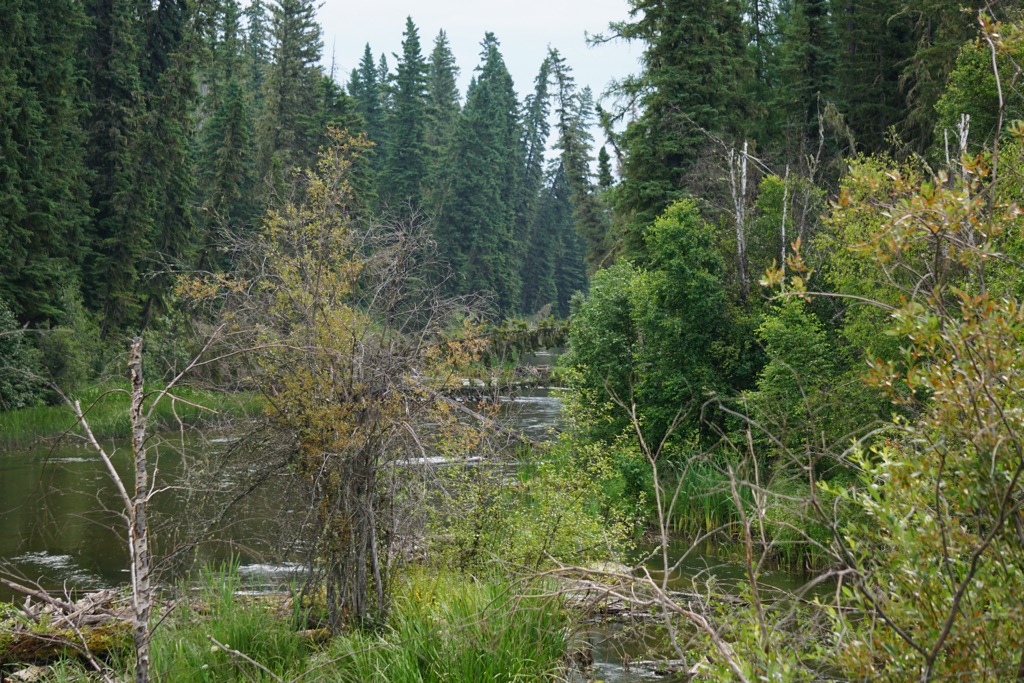 Mackenzie County Mountains