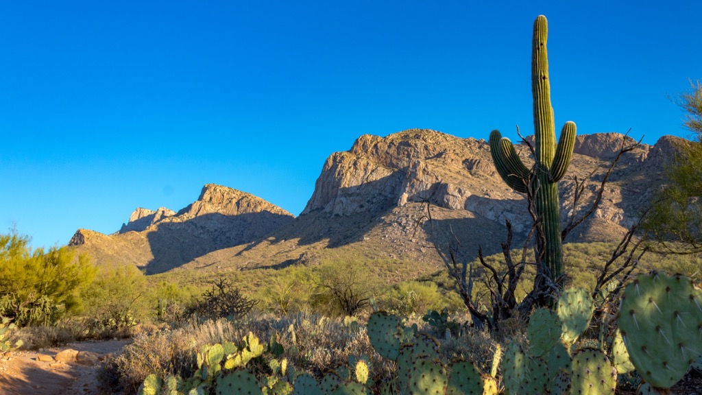 Pusch Ridge Wilderness
