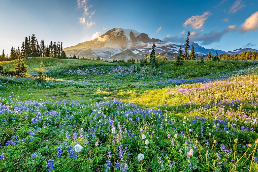 King County Mountains