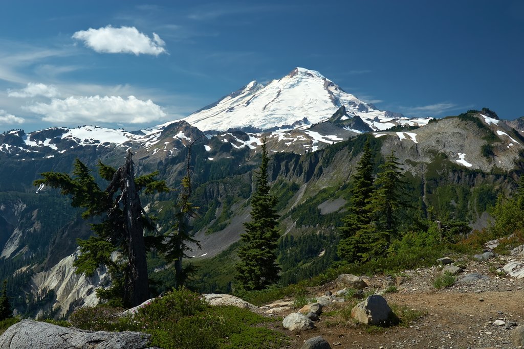 Mount Baker Wilderness