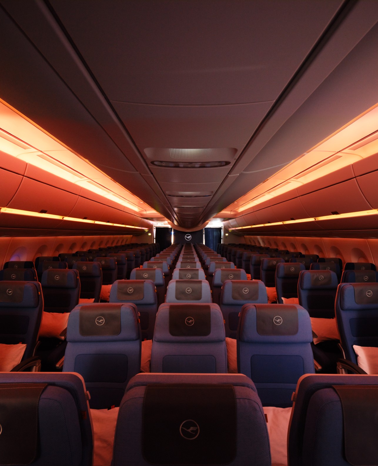 A350 Economy Class Cabin Pearson Lloyd