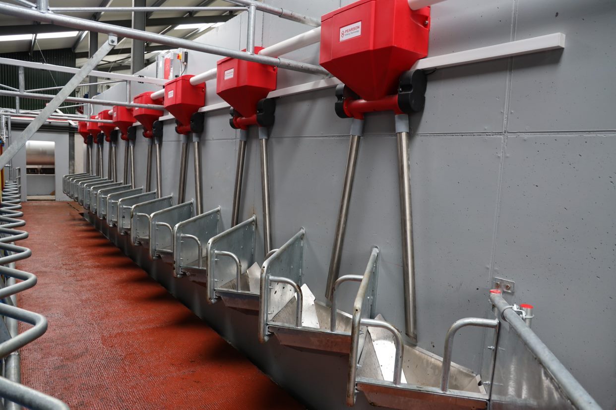 In Parlour Feed Systems Pearson Milking Technology