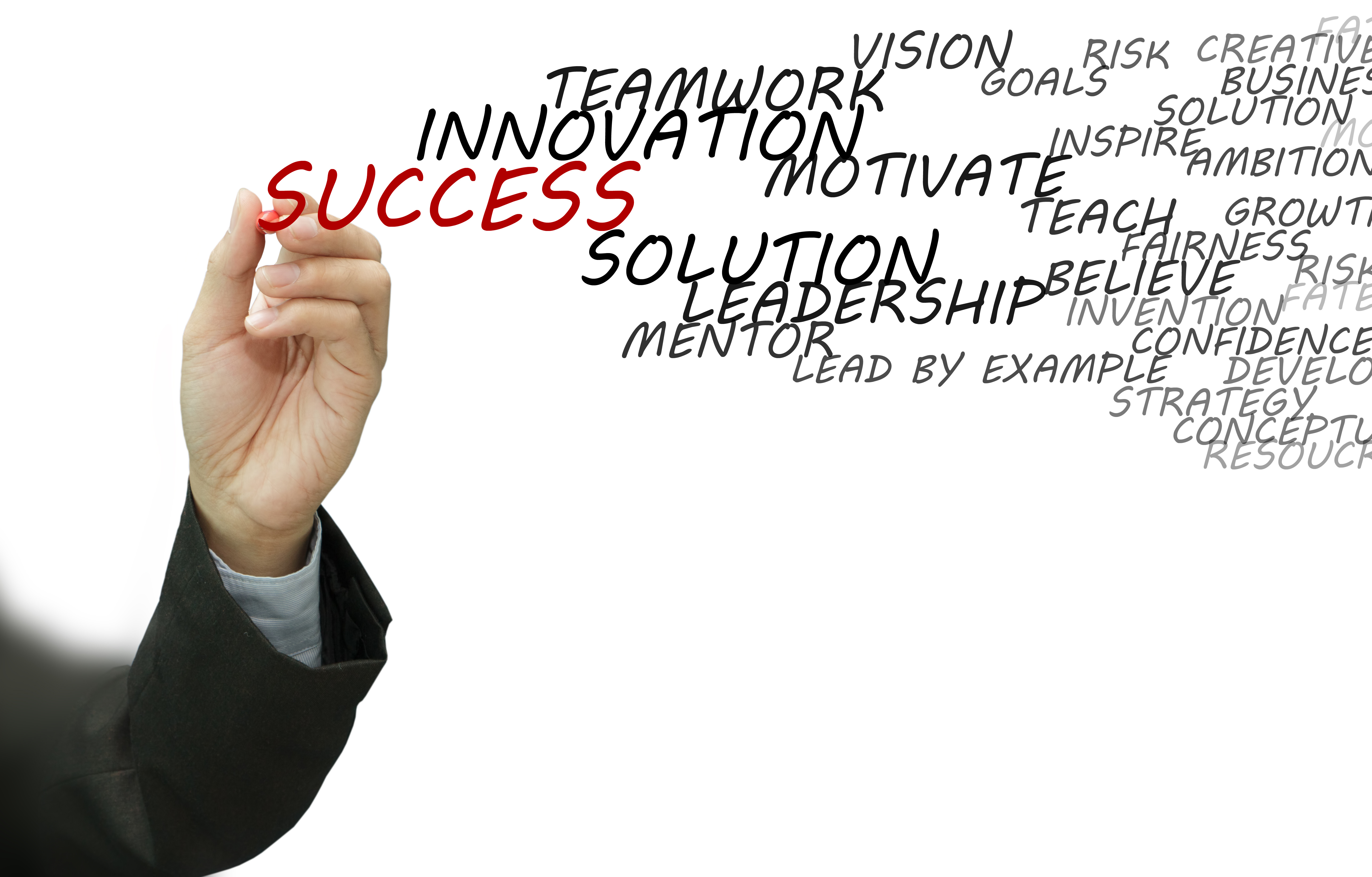 The Power of CEO Coaching During Onboarding Pearson Partners