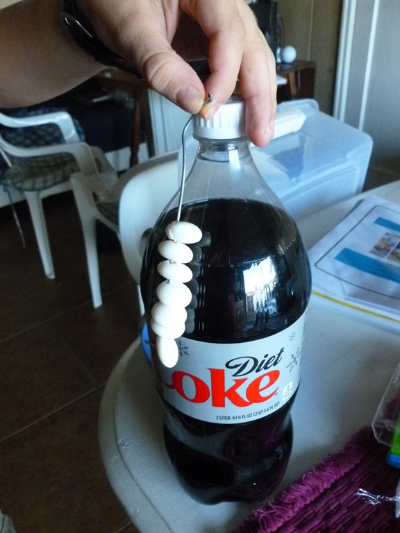 Mentos and Diet Coke Pebblekeeper