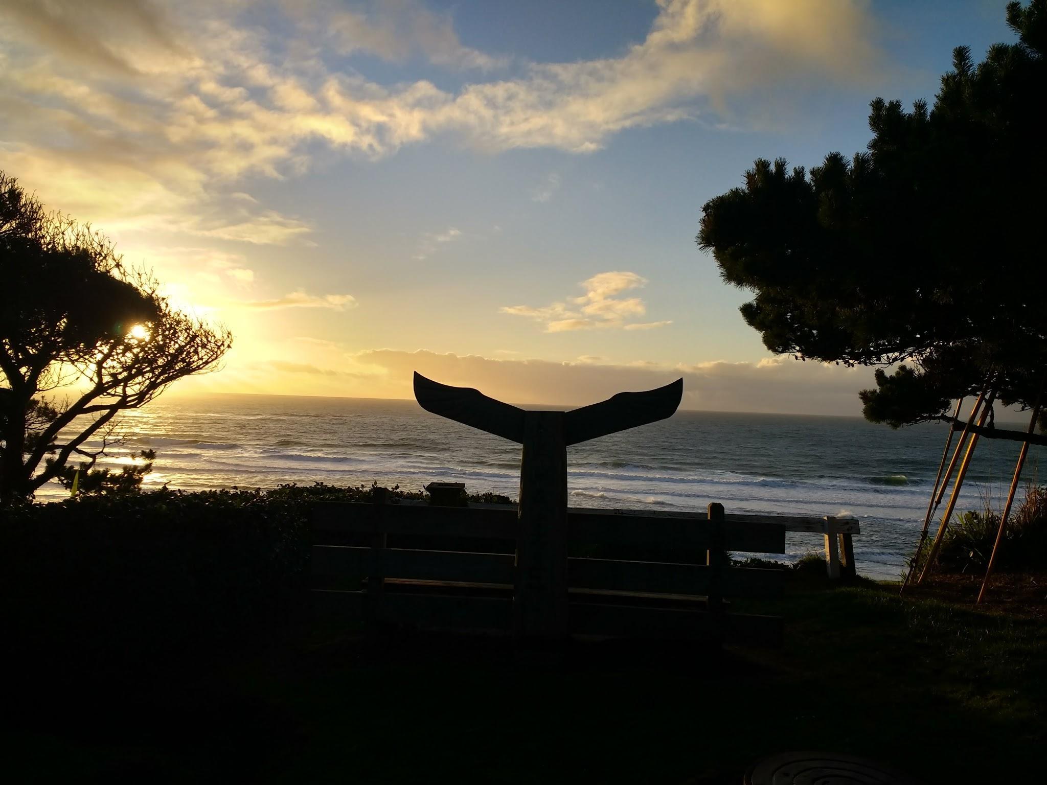 World’s Biggest Marble Hunt Pebblekeeper