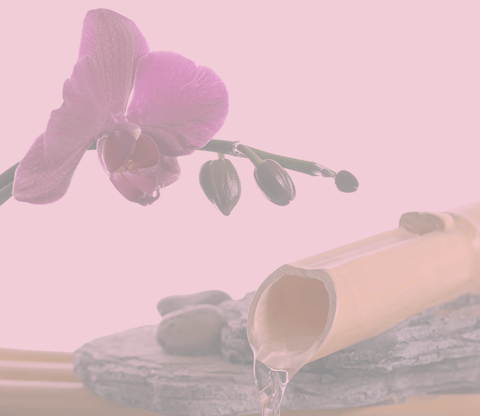 Home Pecan's Day Spa