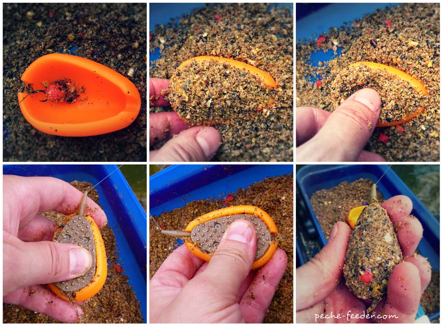 Carpe au feeder avec un method feeder