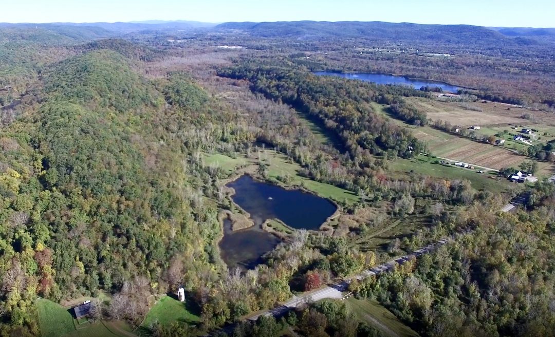 Sustainability Practices at Peckham Industries Peckham Industries, Inc.