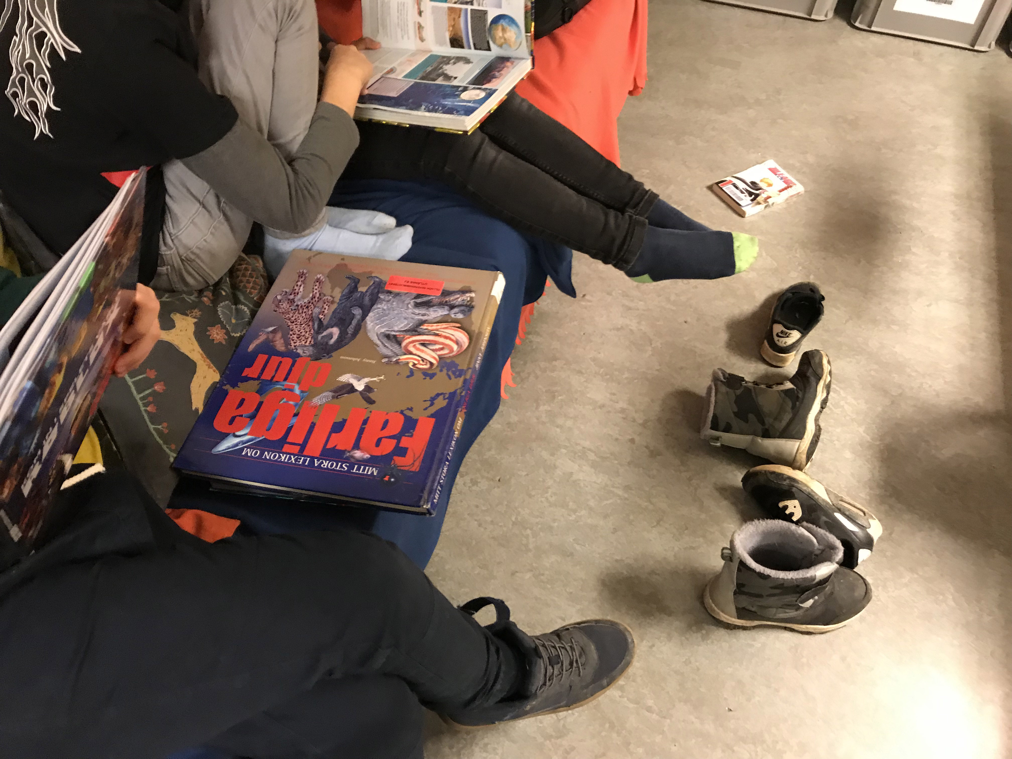 Bibliotek + fritids = sant! Pedagog Malmö