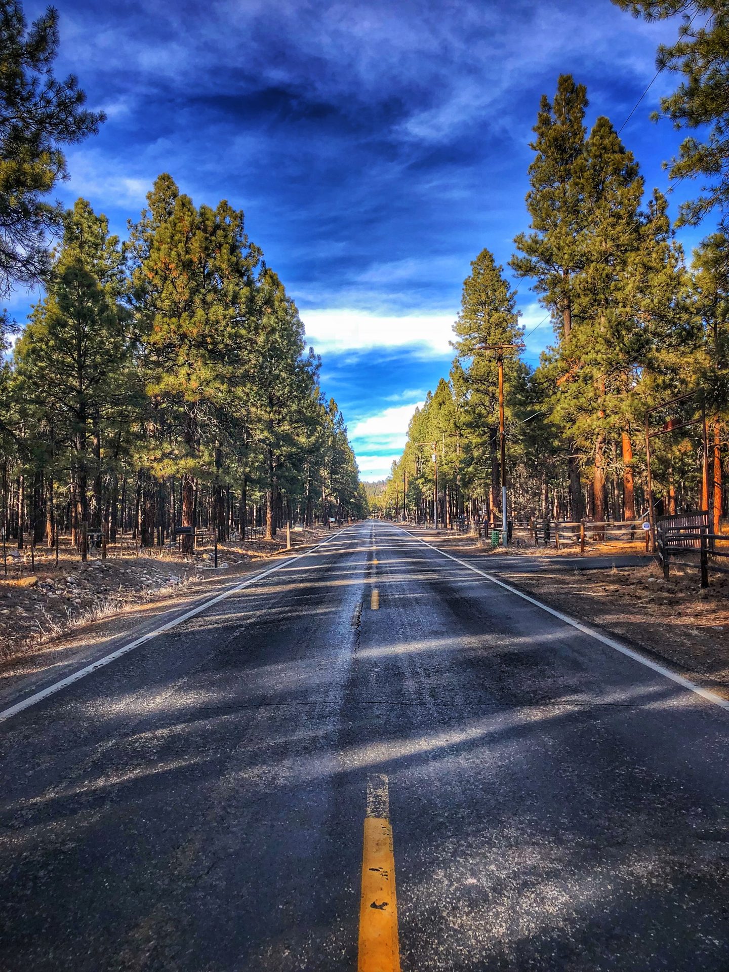 July Newsletter Pedal Durango Durango's Bike Friendly Lodging, Activities, and More