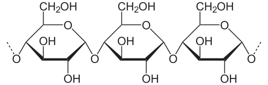 Difference Between Amylose and Cellulose