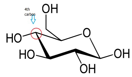 Difference Between Glucose and Galactose Definition, Molecular