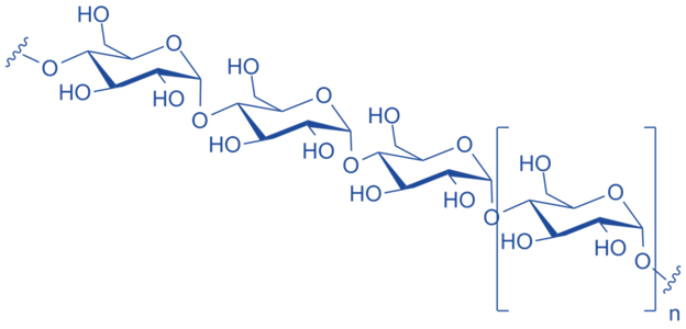 Difference Between Amylase and Amylose Definition, Structure, Role in