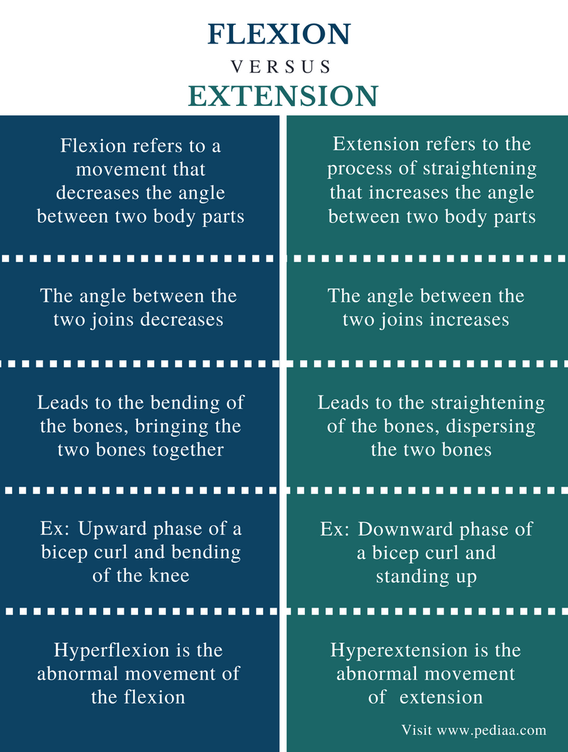 Difference Between Flexion and Extension Definition, Angle, Examples