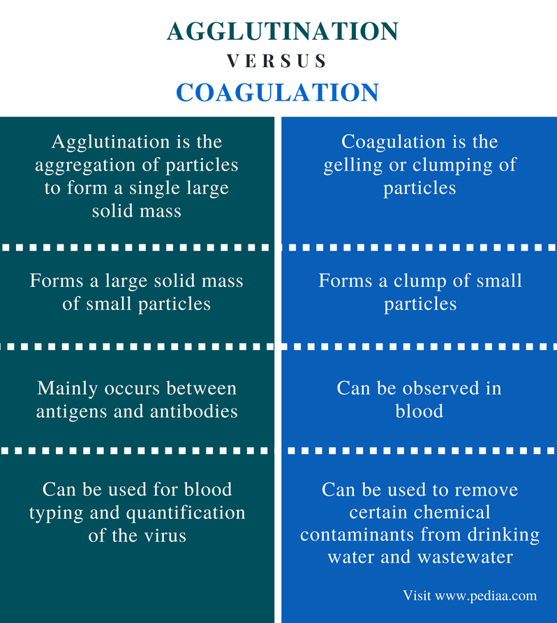 Difference Between Agglutination and Coagulation Definition