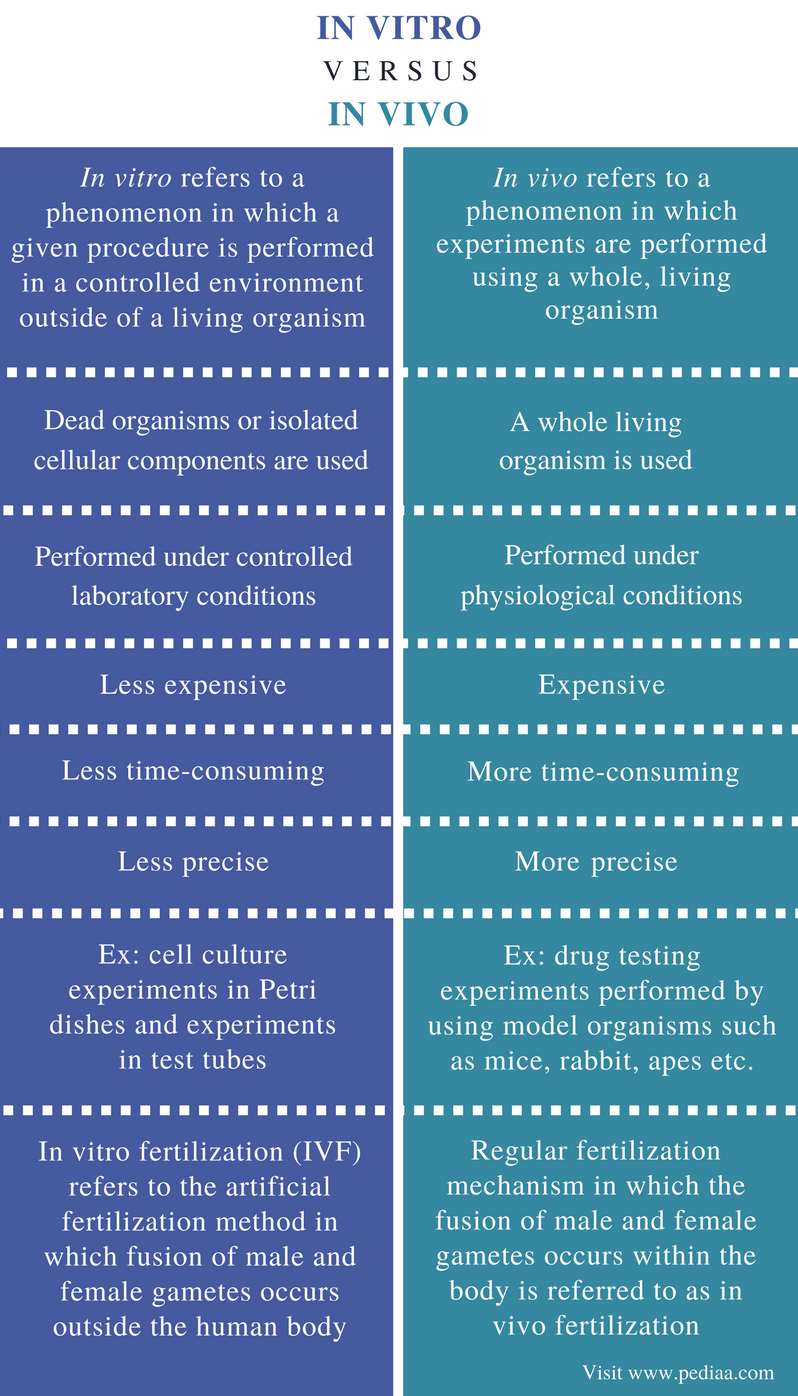 Difference Between in vitro and in vivo Definition, Facts, Examples