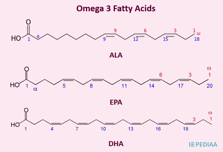 Difference Between Fish Oil and Omega 3