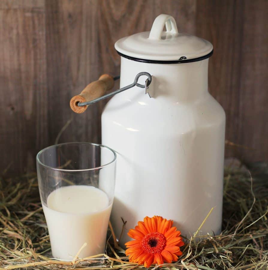 What is the Difference Between Organic Milk and Hormone Free Milk