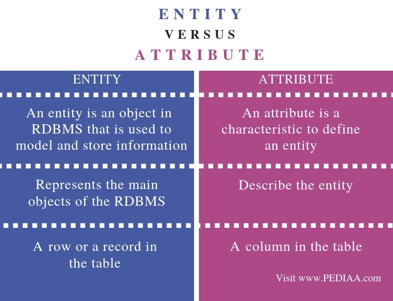 What is the Difference Between Entity and Attribute