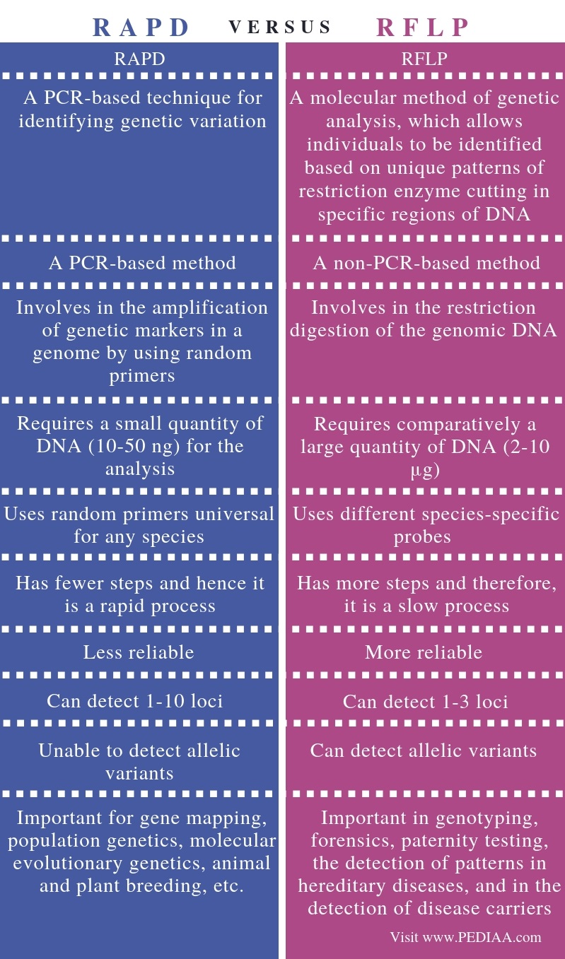 Difference Between RAPD and RFLP