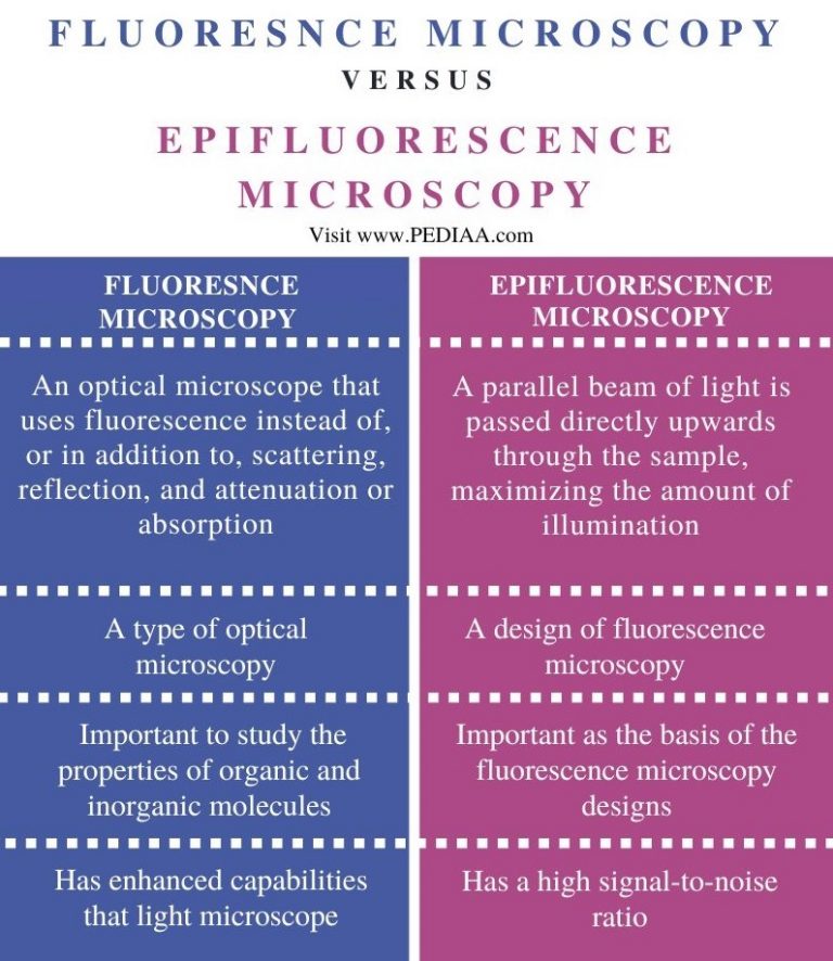 What is the Difference Between Fluorescence and Epifluorescence