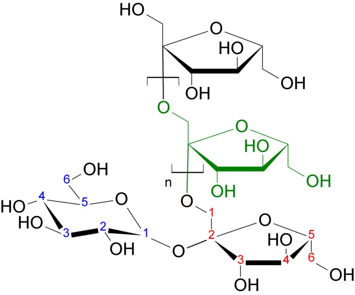 What is the Difference Between Fructose and Fructans