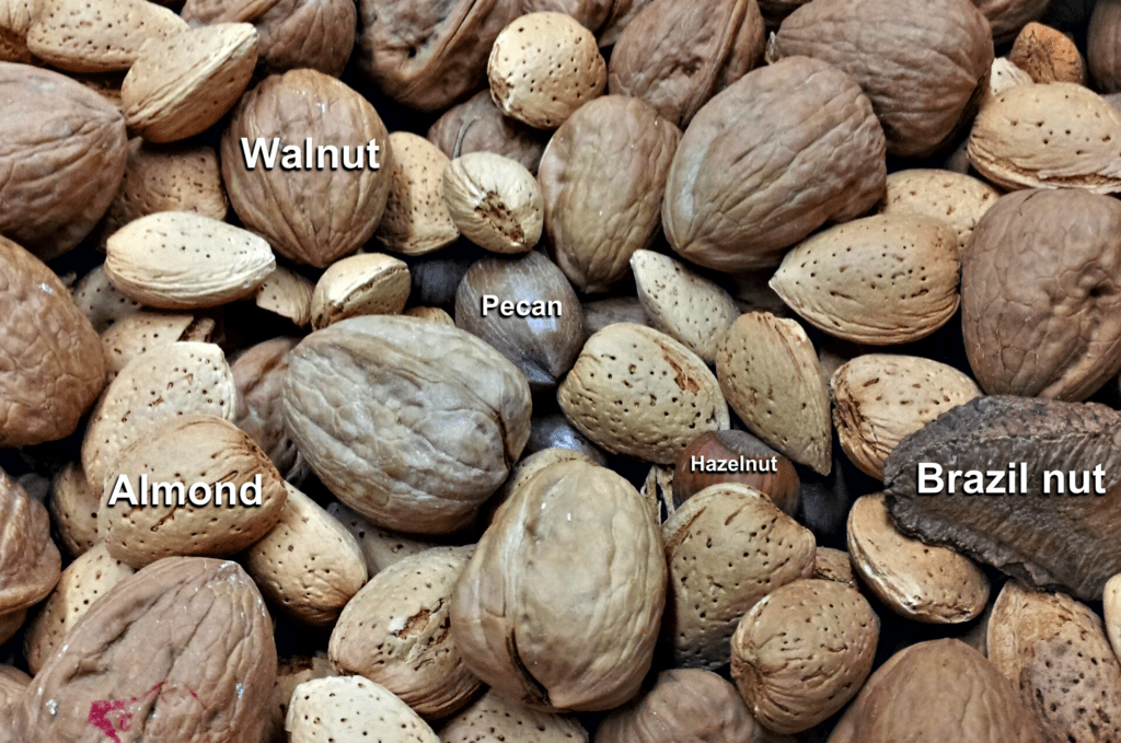 What is the Difference Between Tree Nuts and Peanuts
