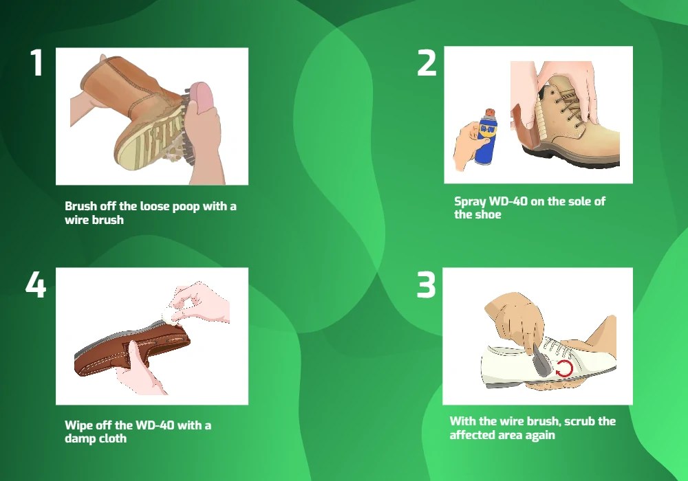 How to Clean Poop Off Leather Shoes A StepbyStep Guide