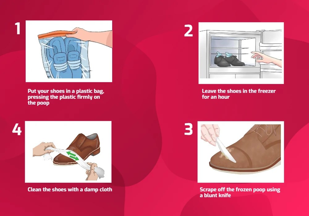 How To Clean Dog Poop Off Shoes