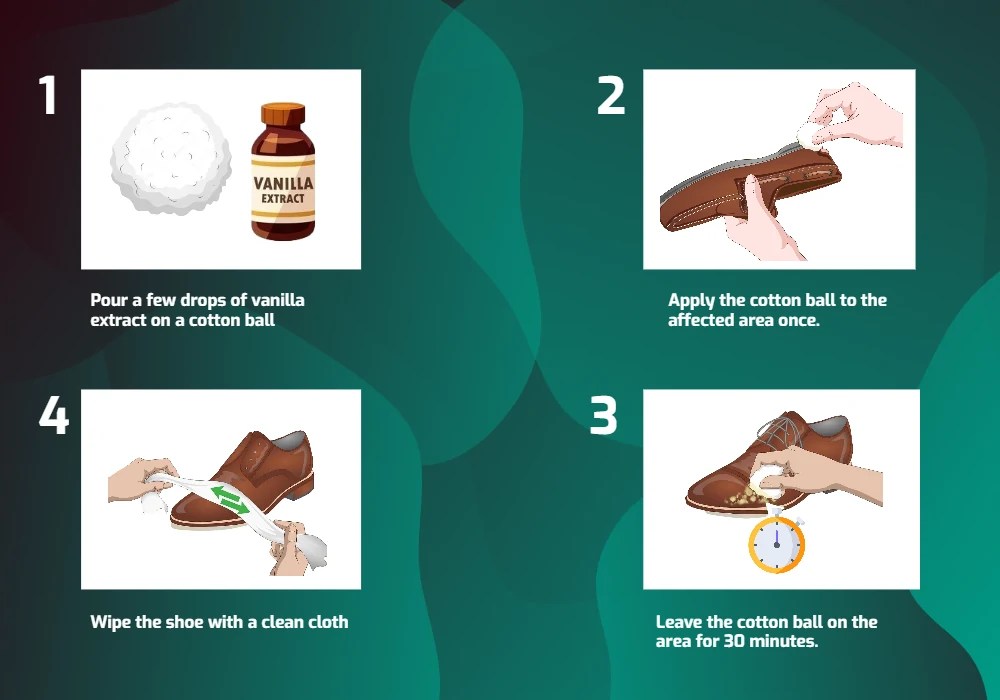 How To Get Rid Of Dog Poop Smell From Shoes