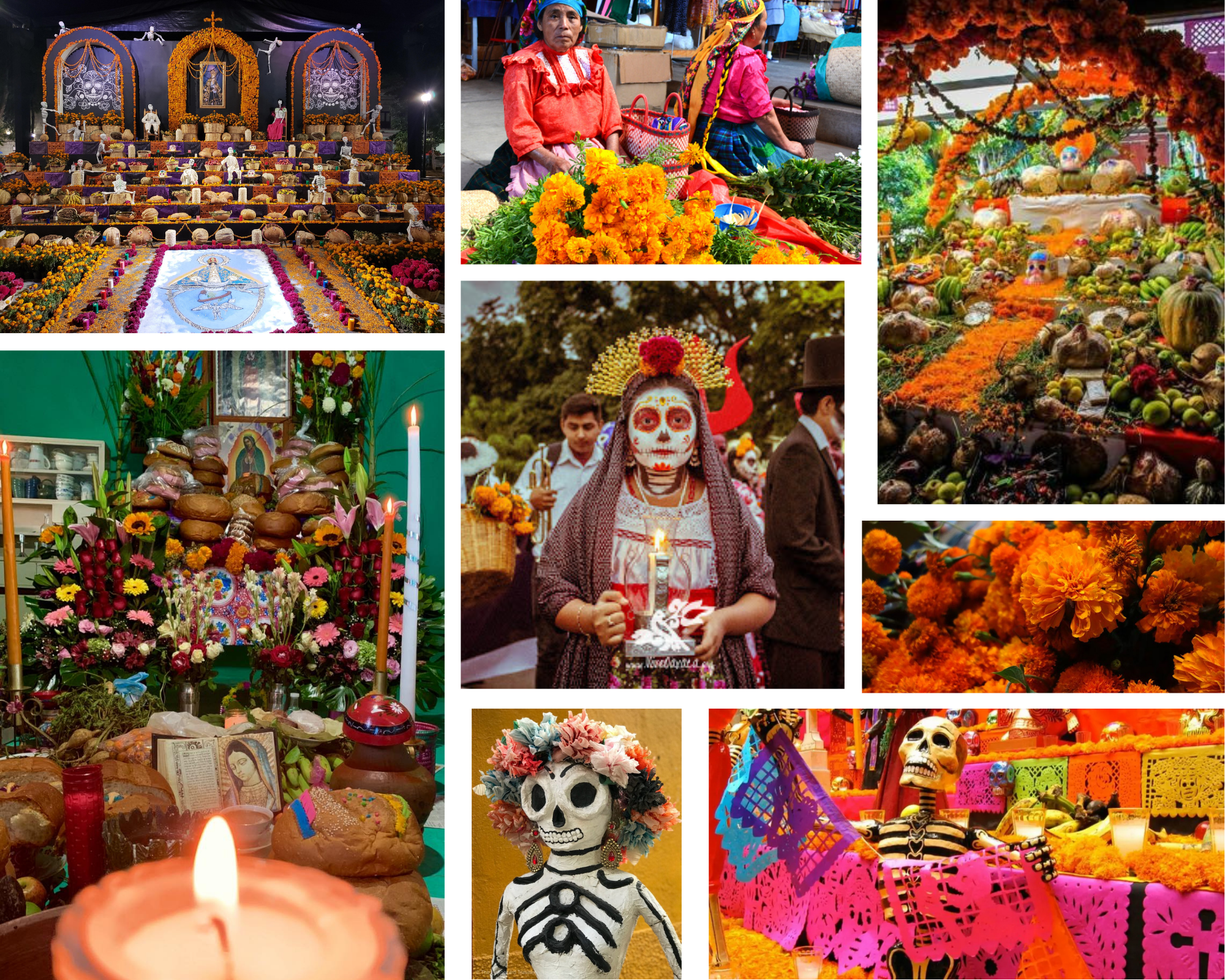 Day Of The Dead Art & Culture Workshop In Oaxaca 2022
