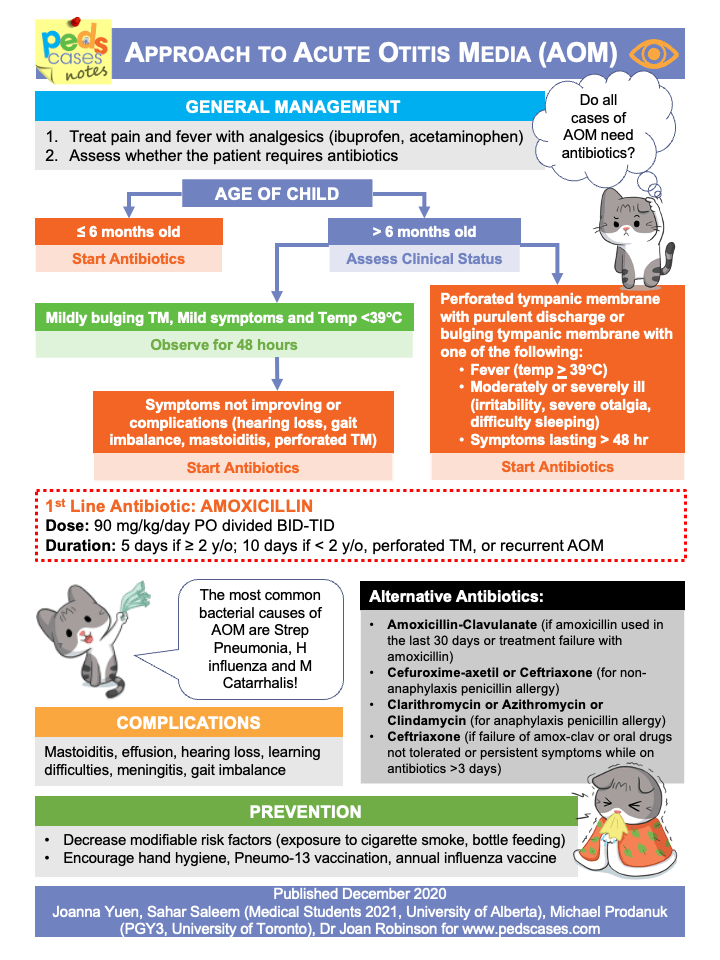 Chronic Otitis Media Treatment