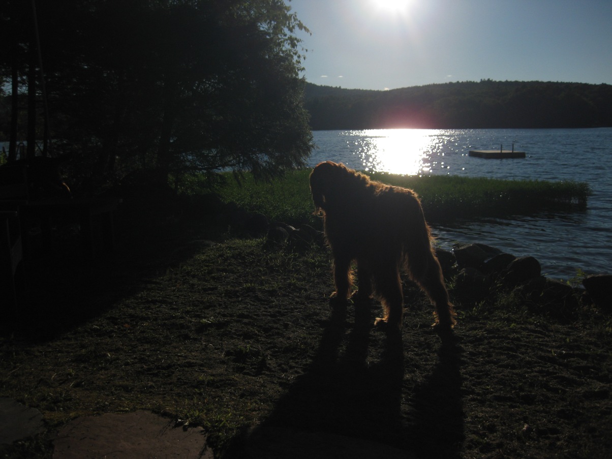 Peebles Family The Peebles of New York