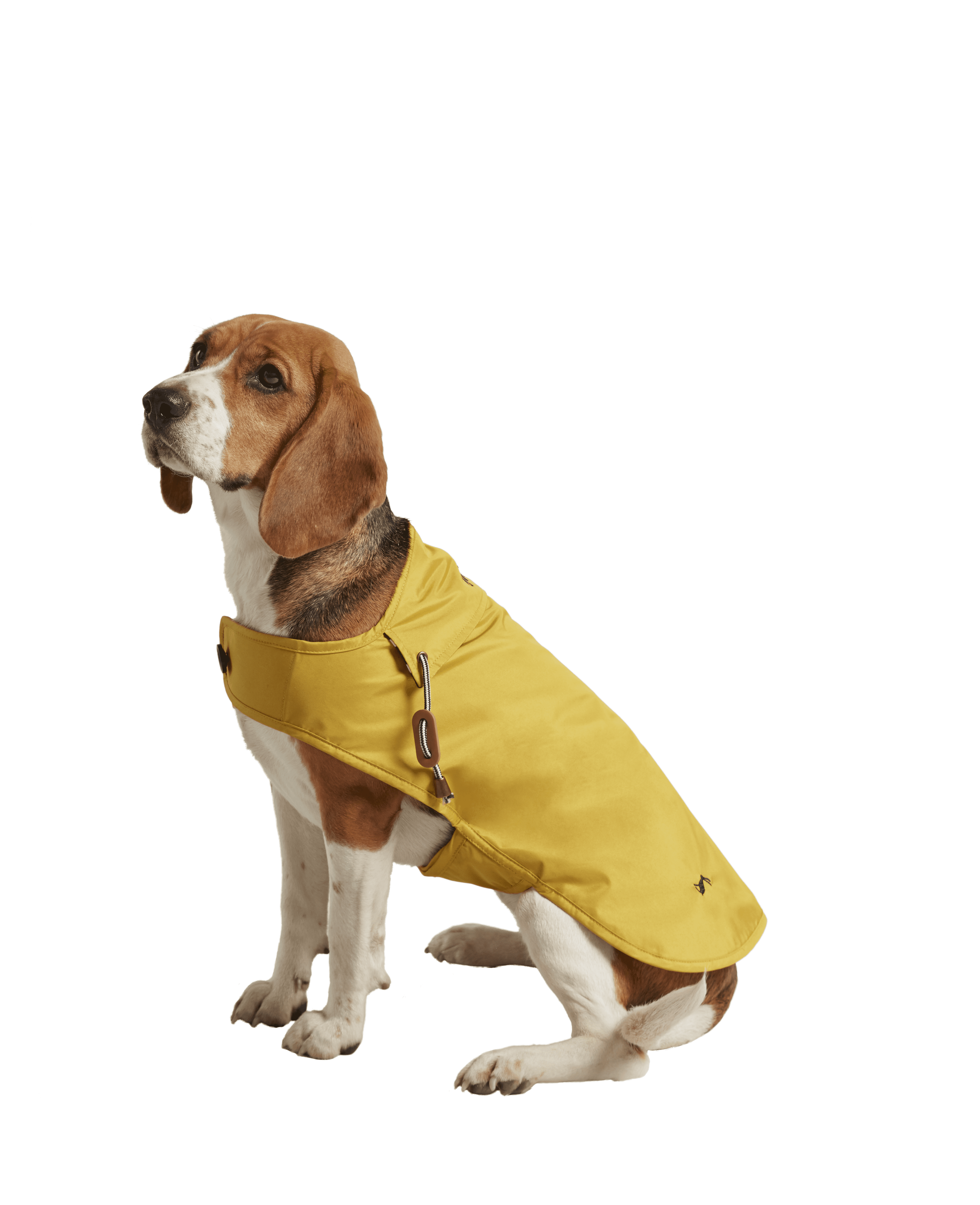 Joules Raincoat Mustard (Various Sizes) Peejay Pets Superstore Ltd