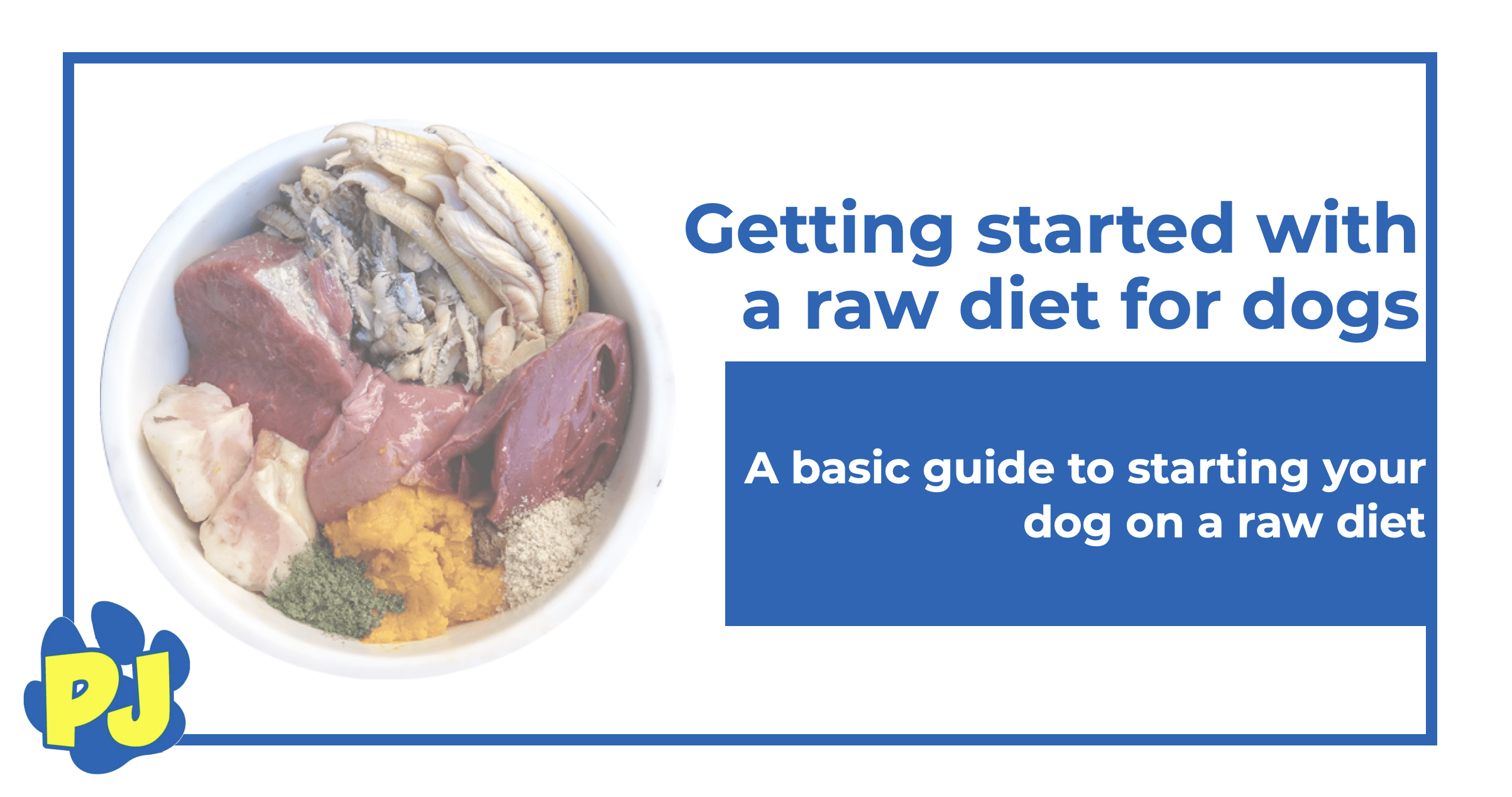 Guide to starting a raw diet for dogs Peejay Pets Superstore Ltd