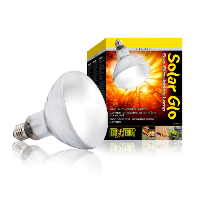 Exo Terra Solar Glo Compact Bulb D3 UV 125W Peejay Pets Superstore Ltd