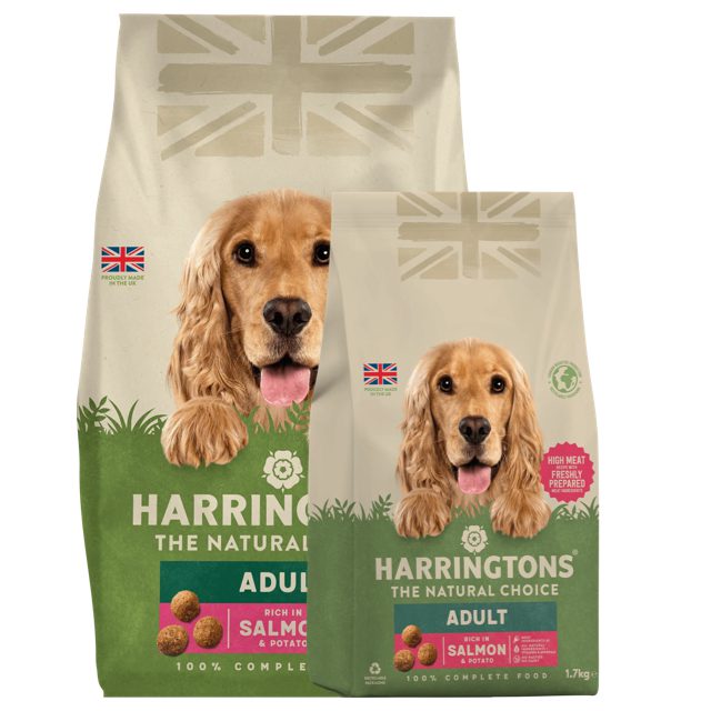 Harringtons Salmon Adult Dry Dog Food Peejay Pets Superstore Ltd
